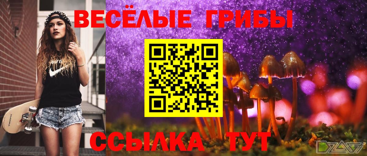 Псилоцибиновые грибы Psilocybe  Вход с VPN  Галлюциногенные грибы прущие грибы  Новокуйбышевск 